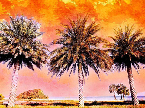 Hifi Palms II White Modern Wood Framed Art Print with Double Matting by Nall, Skip