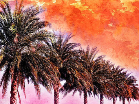 Hifi Palms III Black Ornate Wood Framed Art Print with Double Matting by Nall, Skip