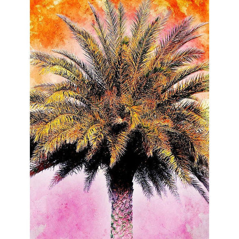 Hifi Palms IV White Modern Wood Framed Art Print by Nall, Skip