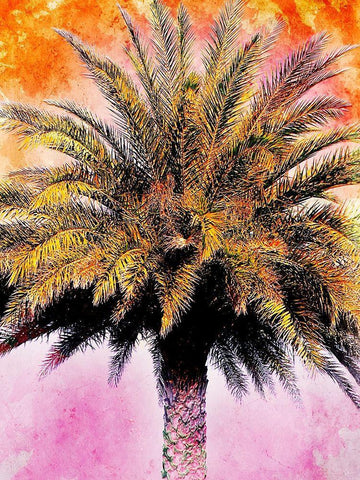 Hifi Palms IV Black Ornate Wood Framed Art Print with Double Matting by Nall, Skip