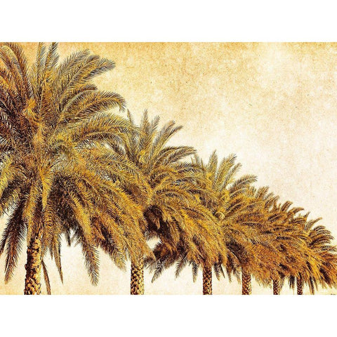 Palms on Brown I Black Modern Wood Framed Art Print by Nall, Skip