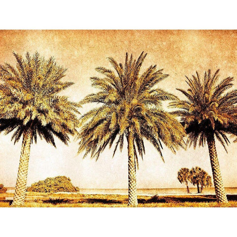 Palms on Brown II Black Modern Wood Framed Art Print with Double Matting by Nall, Skip
