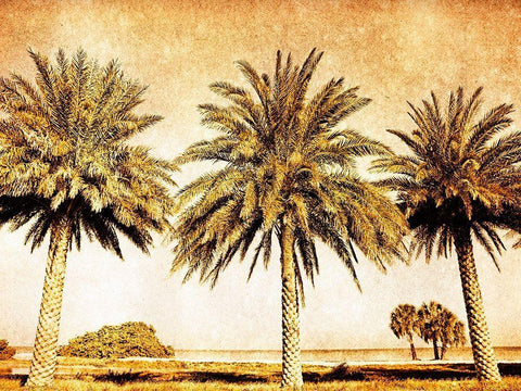 Palms on Brown II Black Ornate Wood Framed Art Print with Double Matting by Nall, Skip