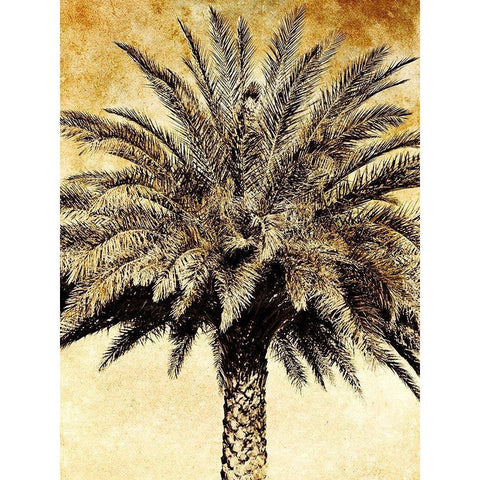Palms on Brown V Black Modern Wood Framed Art Print with Double Matting by Nall, Skip
