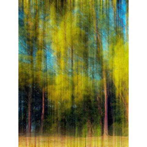 Tree Blur I White Modern Wood Framed Art Print by Nall, Skip