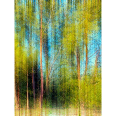 Tree Blur II Black Modern Wood Framed Art Print by Nall, Skip