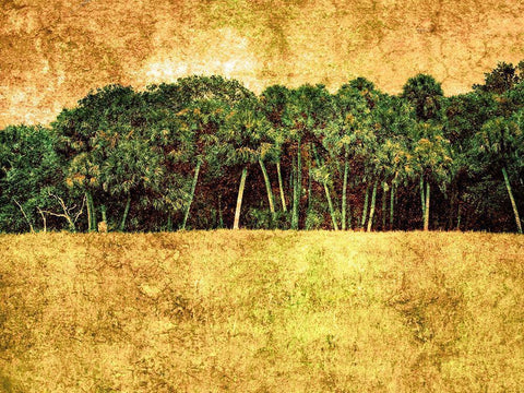 Grunge Beach II White Modern Wood Framed Art Print with Double Matting by Nall, Skip