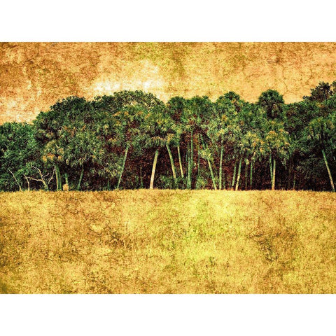 Grunge Beach II White Modern Wood Framed Art Print by Nall, Skip