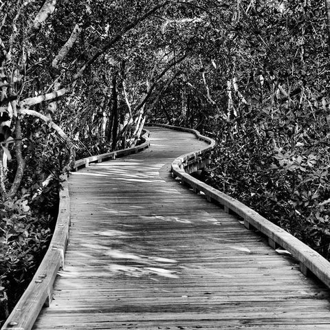 Southern Swing II Black Modern Wood Framed Art Print by Nall, Skip