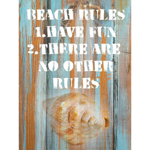 Beach Rules II White Modern Wood Framed Art Print by Nall|Skip