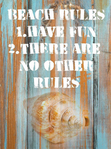 Beach Rules II White Modern Wood Framed Art Print with Double Matting by Nall|Skip