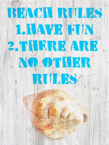 Beach Rules III White Modern Wood Framed Art Print with Double Matting by Nall|Skip