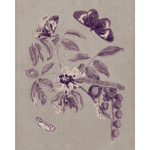 Nature Study in Plum and Taupe II Gold Ornate Wood Framed Art Print with Double Matting by Merian, Maria S.