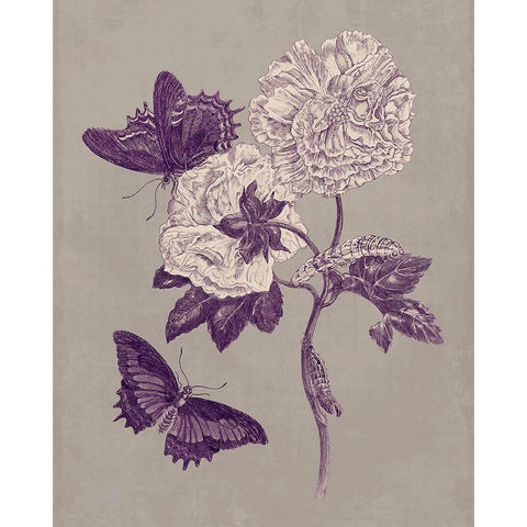 Nature Study in Plum and Taupe IV Gold Ornate Wood Framed Art Print with Double Matting by Merian, Maria S.