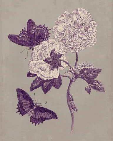 Nature Study in Plum and Taupe IV White Modern Wood Framed Art Print with Double Matting by Merian, Maria S.