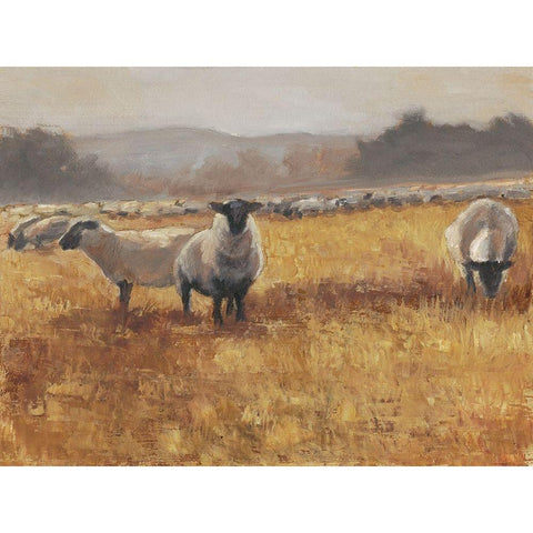 Grazing at Sunset I Black Modern Wood Framed Art Print with Double Matting by Harper, Ethan