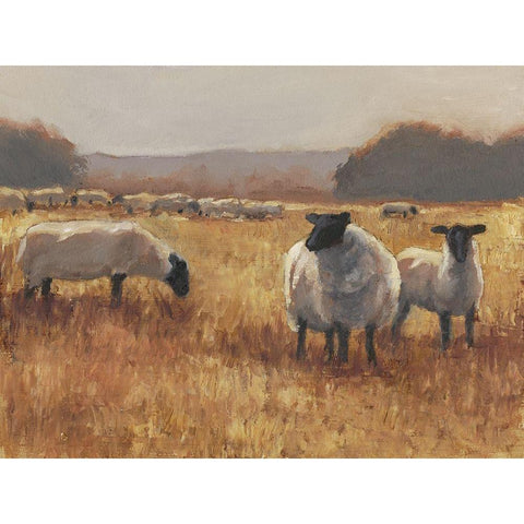 Grazing at Sunset II Gold Ornate Wood Framed Art Print with Double Matting by Harper, Ethan