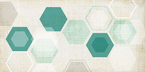 Hex Mobile II White Modern Wood Framed Art Print with Double Matting by Fagalde, Jarman