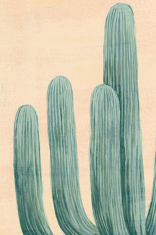 Dusty Cacti I White Modern Wood Framed Art Print with Double Matting by Popp, Grace