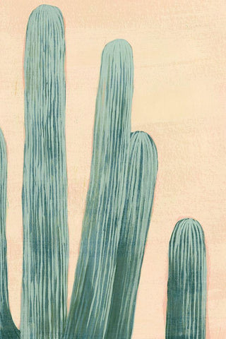 Dusty Cacti II White Modern Wood Framed Art Print with Double Matting by Popp, Grace