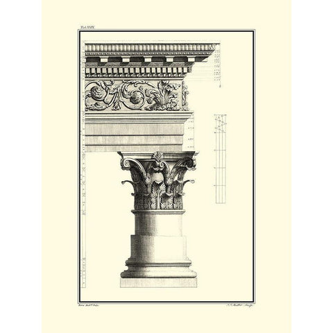 B and W Column and Cornice IV Black Modern Wood Framed Art Print with Double Matting by Borra, Giovanni