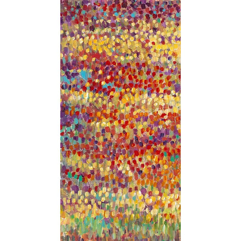 Tulips in Bloom I White Modern Wood Framed Art Print by OToole, Tim