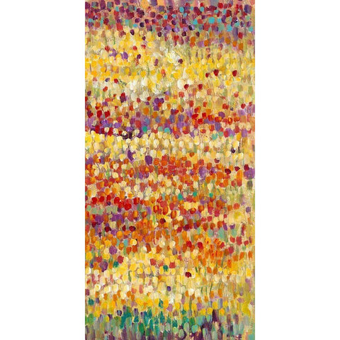 Tulips in Bloom II Black Modern Wood Framed Art Print with Double Matting by OToole, Tim