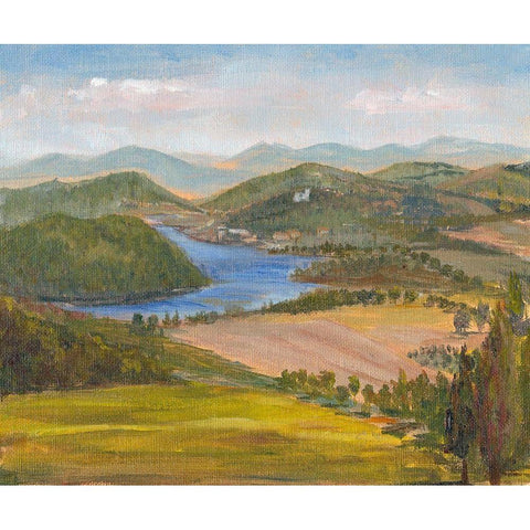 Nostalgic Tuscany III Black Modern Wood Framed Art Print by Iafrate, Sandra