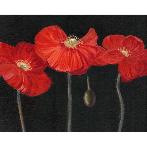 Poppy Trio I Gold Ornate Wood Framed Art Print with Double Matting by Iafrate, Sandra