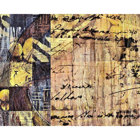 Of the World IV Black Modern Wood Framed Art Print by Perkins, Greg