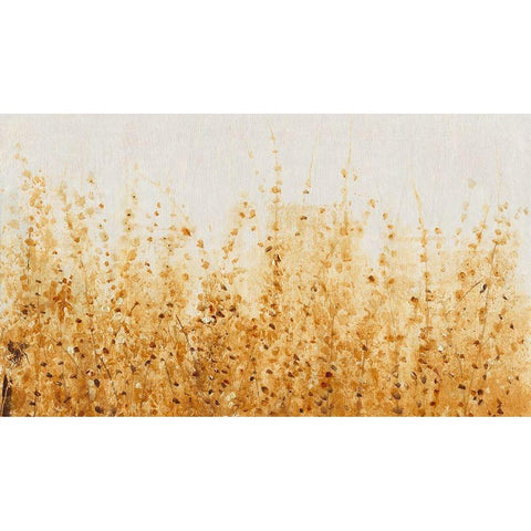 Ochre Fields II Black Modern Wood Framed Art Print with Double Matting by OToole, Tim