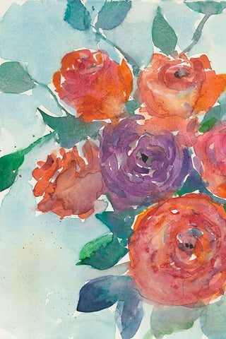 Rose Appeal I White Modern Wood Framed Art Print with Double Matting by Dixon, Samuel