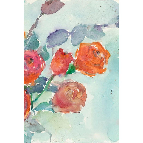 Rose Appeal II Black Modern Wood Framed Art Print with Double Matting by Dixon, Samuel