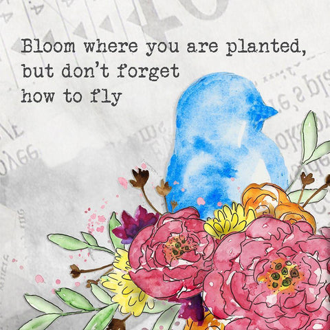 Bloom and Fly II White Modern Wood Framed Art Print with Double Matting by McGuire, Catherine