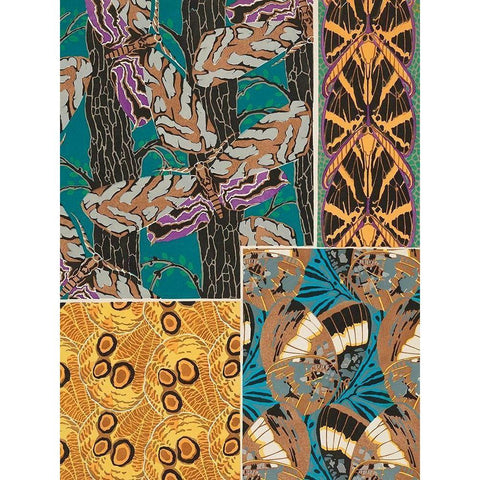 Decorative Butterflies I White Modern Wood Framed Art Print by Seguy, Eugene