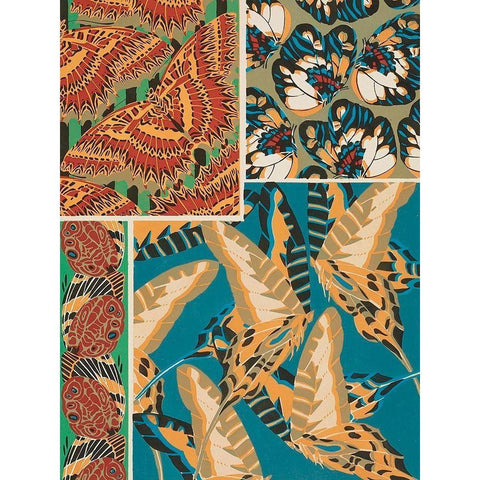 Decorative Butterflies IV Black Modern Wood Framed Art Print with Double Matting by Seguy, Eugene