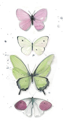 Summer Butterflies II White Modern Wood Framed Art Print with Double Matting by Parker, Jennifer Paxton