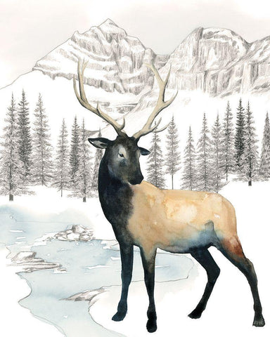 Winter Elk I Black Ornate Wood Framed Art Print with Double Matting by Popp, Grace