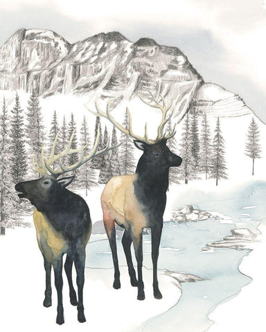 Winter Elk II Black Ornate Wood Framed Art Print with Double Matting by Popp, Grace