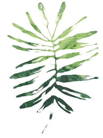 Emerald Tropics I White Modern Wood Framed Art Print with Double Matting by Vess, June Erica