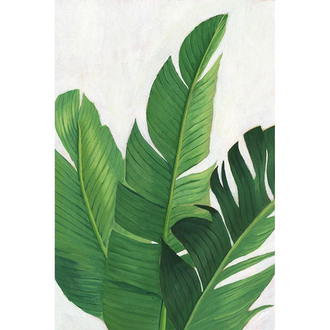 Pura Vida II White Modern Wood Framed Art Print by Popp, Grace