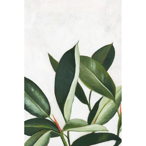 Pura Vida IV White Modern Wood Framed Art Print by Popp, Grace