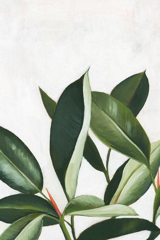 Pura Vida IV White Modern Wood Framed Art Print with Double Matting by Popp, Grace