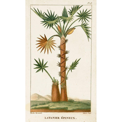 Turpin Exotic Palms I White Modern Wood Framed Art Print by Turpin