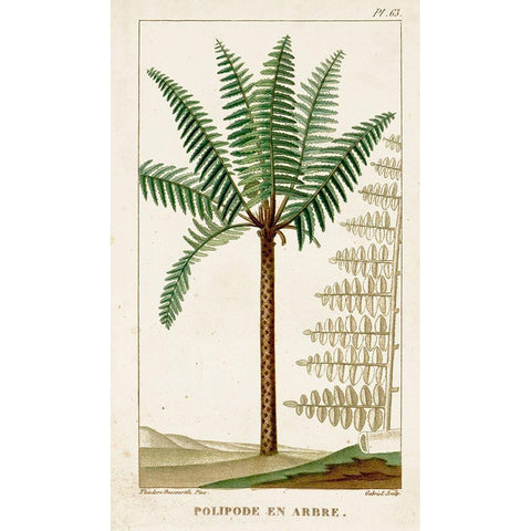 Turpin Exotic Palms III Gold Ornate Wood Framed Art Print with Double Matting by Turpin