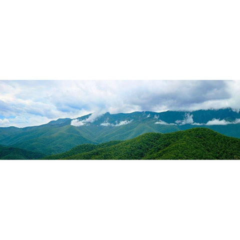 Misty Mountains II Gold Ornate Wood Framed Art Print with Double Matting by McLoughlin, James