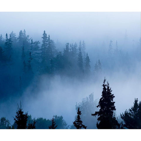 Misty Mountains XV White Modern Wood Framed Art Print by McLoughlin, James