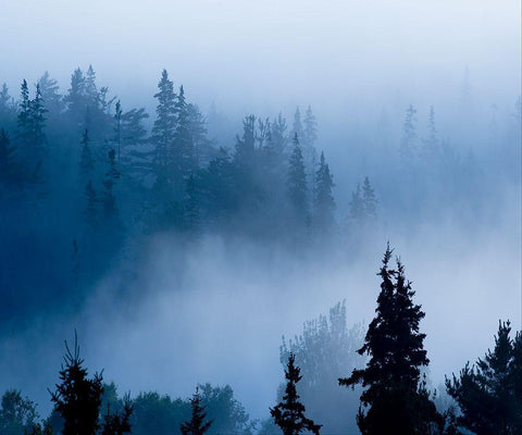 Misty Mountains XV White Modern Wood Framed Art Print with Double Matting by McLoughlin, James