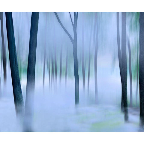 Misty Mountains XVI White Modern Wood Framed Art Print by McLoughlin, James