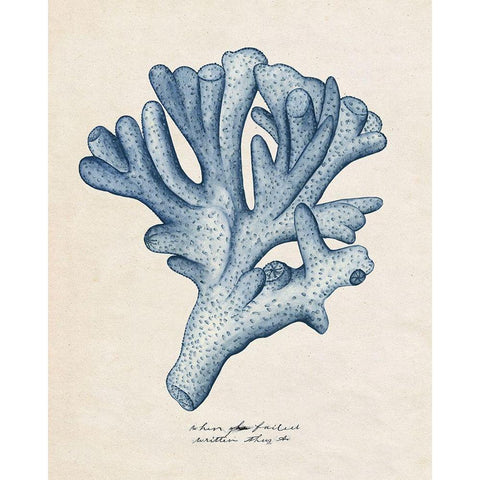 Sea Coral Study I Gold Ornate Wood Framed Art Print with Double Matting by Wang, Melissa